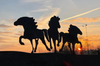 Team Sonnenhof I Wanderreittag